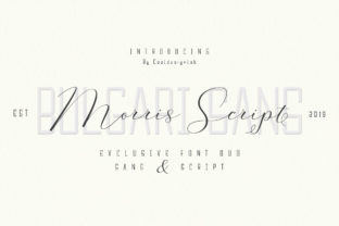 Morris Duo: A Font That Elevates Your Brand’s Visual Story