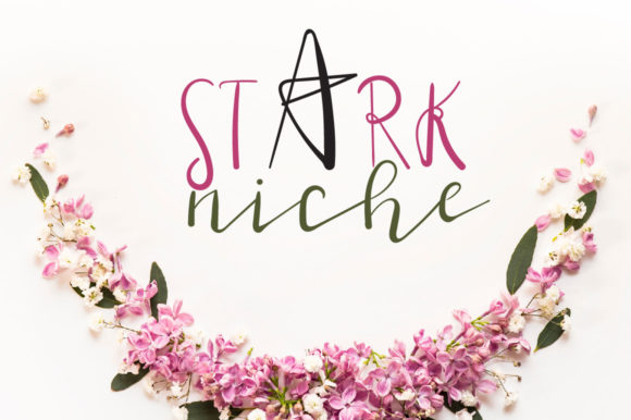 Stark Niche Font: A Playful Typeface for Digital Designers