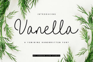Vanella Font: A Romantic Script Typeface for Modern Web Design